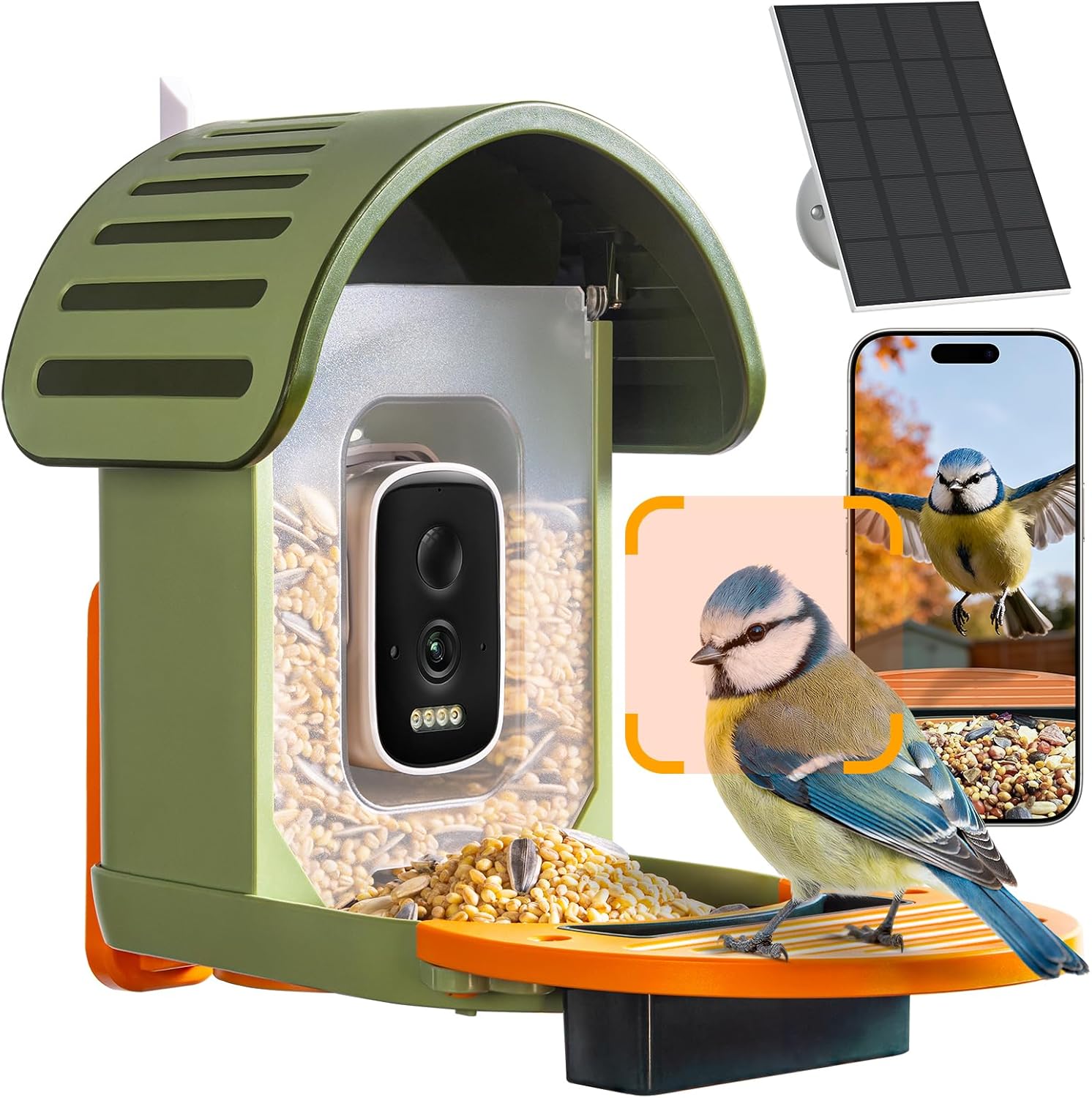 Smart Bird Feeder with Camera, 2.5K UHD Bird Feeder Camera Solar Powerd, Sensitive AI Identification, Instant Alerts Capture Video, IP66 Waterproof for Outdoor, Green